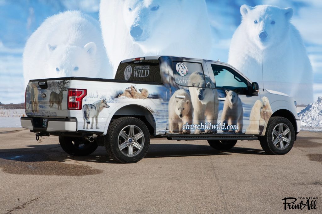 Churchill Wild Truck Wrap Polar Bears